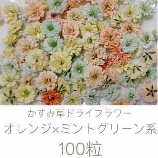 オレンジ×ミントグリーン系 かすみ草ドライフラワー100粒(ドライフラワー)