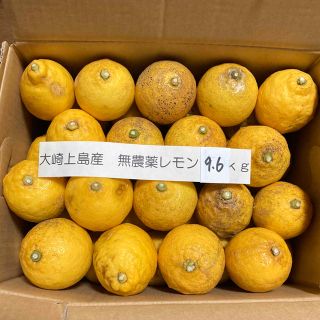 広島県大崎上島産無農薬レモン　9.6kg(フルーツ)