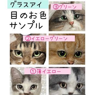 目の色などサンプルページ(オーダーメイド)