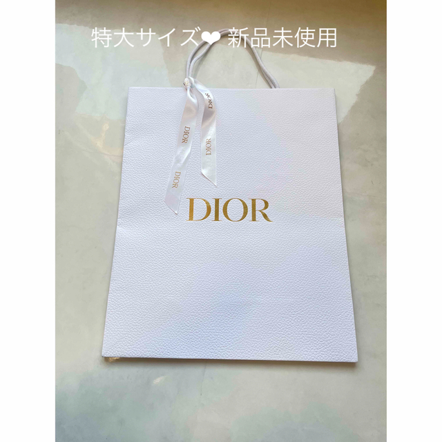 Christian Dior(クリスチャンディオール)のDior 紙袋　特大 レディースのバッグ(ショップ袋)の商品写真