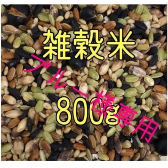 ブルー様専用雑穀米　800ｇ　（400g×2） 食品/飲料/酒の食品(米/穀物)の商品写真