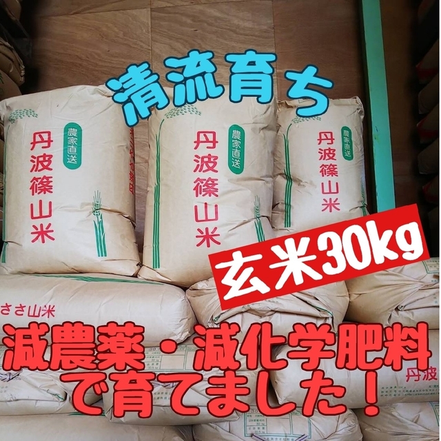 清流育ち 兵庫県丹波篠山米 玄米30kg(減農薬，減学肥料栽培)-