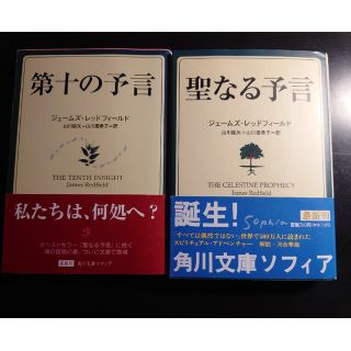 聖なる予言　第十の予言　２冊(その他)