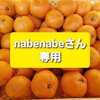 nabenabeさん専用　訳ありミカン１０kg(フルーツ)