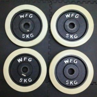 WILD FIT ワイルドフィット ダンベル プレート 5kg 4枚 ラバー(トレーニング用品)