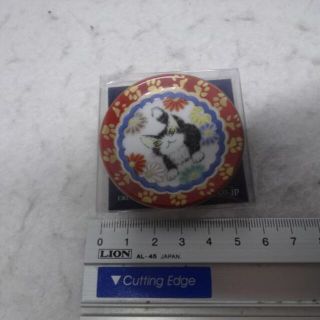 新品　九谷焼　姫皿　台湾　ミニ皿　小皿　豆皿　工芸品　わちふぃーるど　ダヤン　猫(食器)