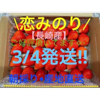 3/4発送!!【長崎産】恋みのり いちご②(フルーツ)