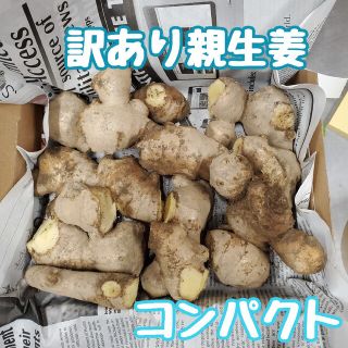 訳あり土付き親生姜コンパクト①(野菜)