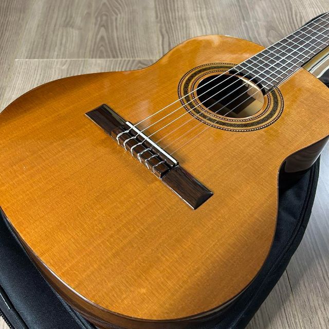 ミニクラシックギター martinez MR-52S-