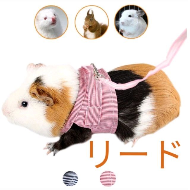 小動物用ハーネス リード お散歩用リード 小動物お出かけ用品 モルモット Lサイズ ペット 小動物 うさぎ モルモット フェレット ハーネス リード 胴輪