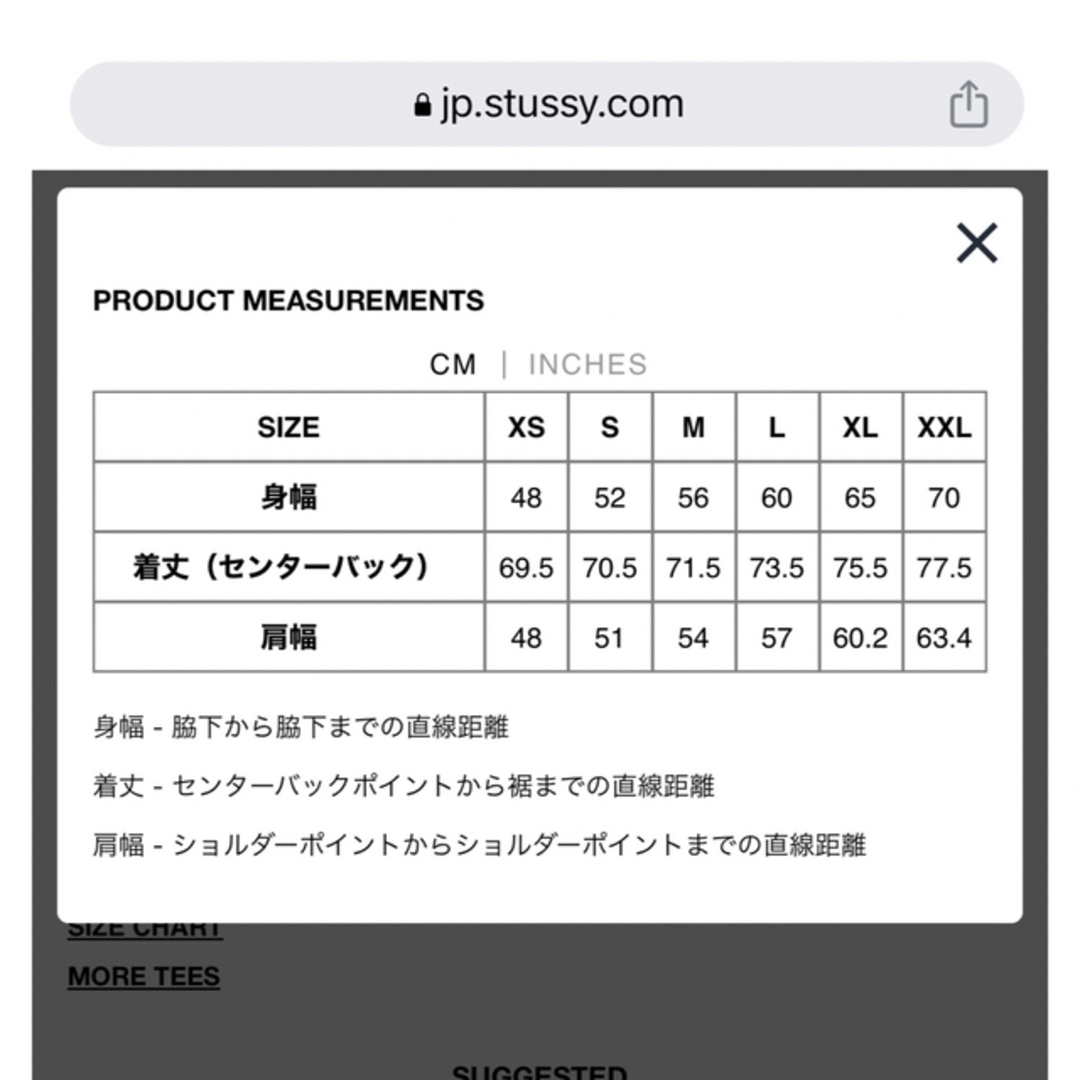 即日発送可 新品未使用 Nike × Stussy Tee White Lサイズ