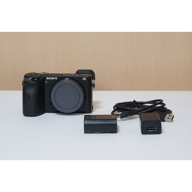 高級品市場 SONY SONYミラーレスカメラα6600ボディ - ミラーレス一眼