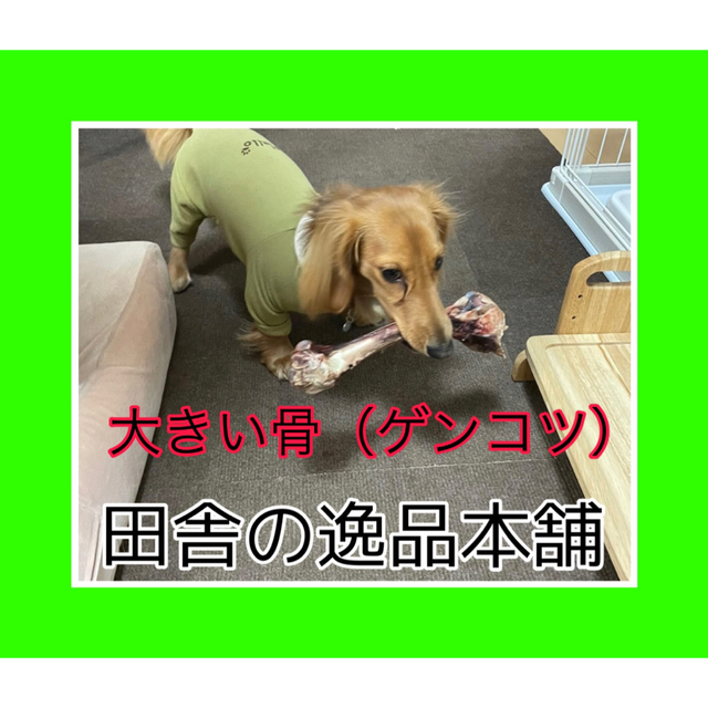 ★お買い得★ 中型犬〜大型犬におすすめ アウトレット 鹿or猪の骨 1kg 以上 5