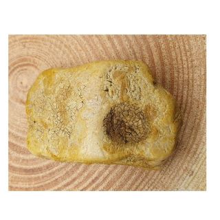 バルト(ウクライナ)産天然琥珀 真っ白ボーンの宝飾用ロイヤルアンバー