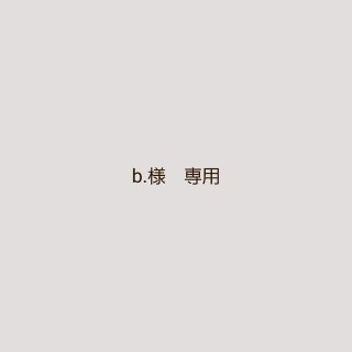 b.様　専用ページです(その他)