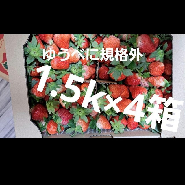 食品ゆうべに規格外❤1.5キロ×4箱クール便送料込14000→10000→9000