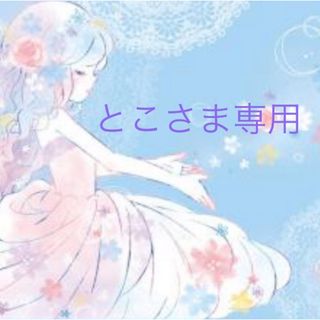 ♢プリンセス♢通園通学2点セット(バッグ/レッスンバッグ)