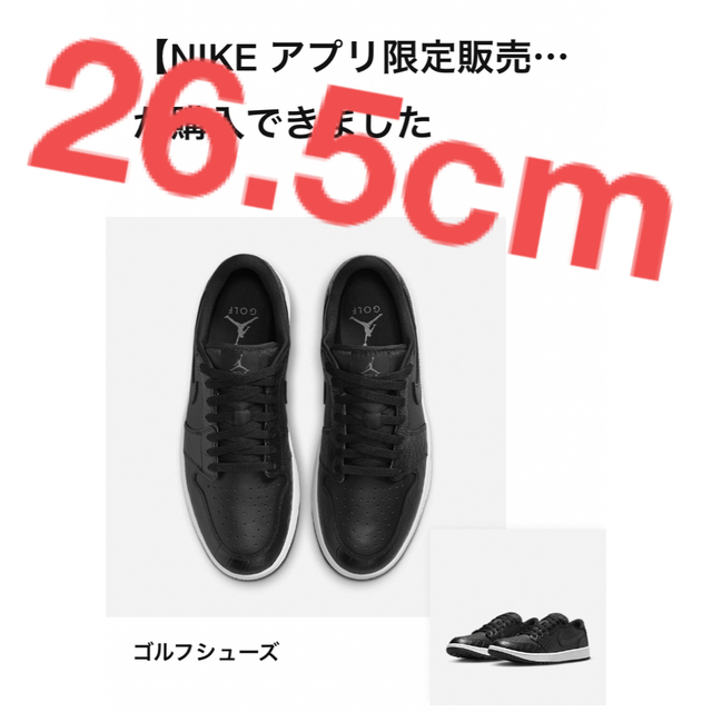 Nike Air Jordan 1 Low Golf 26.5cm