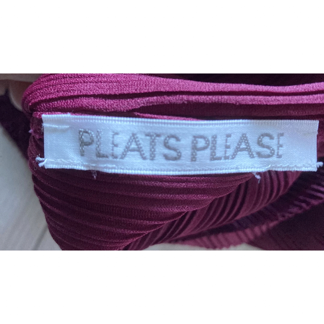 PLEATS PLEASE ISSEY MIYAKE(プリーツプリーズイッセイミヤケ)のプリーツプリーズ　長袖 レディースのトップス(カットソー(長袖/七分))の商品写真