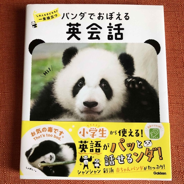 学研(ガッケン)のパンダでおぼえる英会話 大人も子どもも一生役立つ エンタメ/ホビーの本(語学/参考書)の商品写真