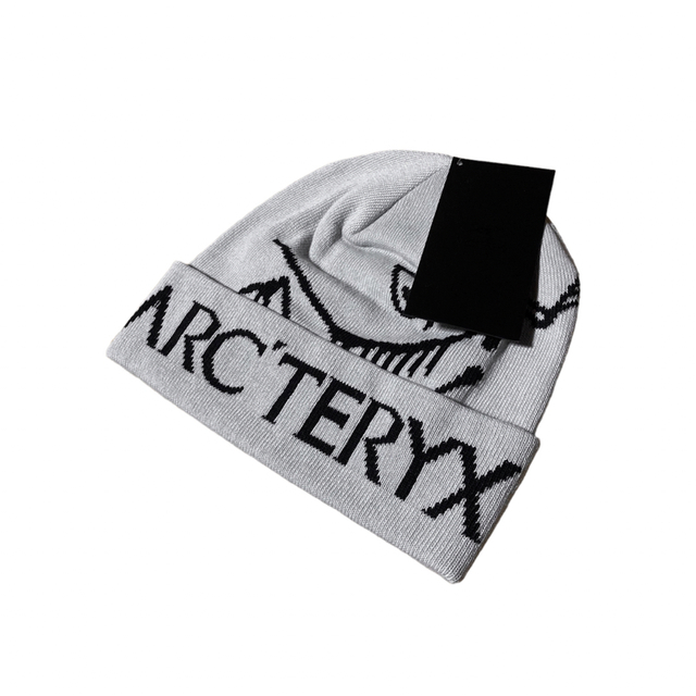 【新品未使用】Arc'teryx Bird word toque ビーニー