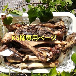 KS様専用ページ(犬)