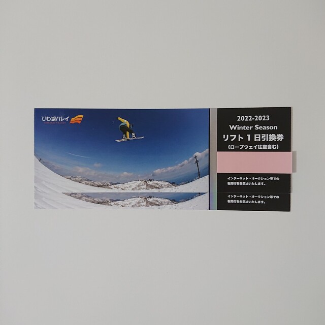 びわ湖バレイ リフト1日券 ロープウェイ往復含む 2枚セット チケットの施設利用券(スキー場)の商品写真