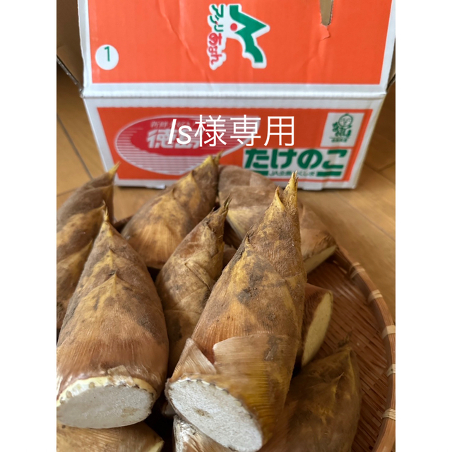 徳島県産 たけのこ 約2kg タケノコ 筍。