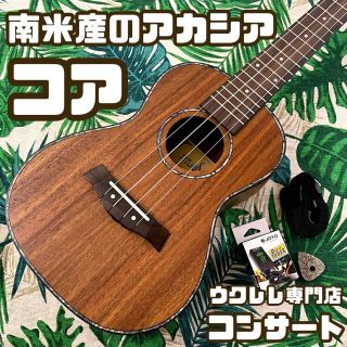 【入門セット】music南米産コア材のコンサートウクレレ【ウクレレ専門店】(コンサートウクレレ)