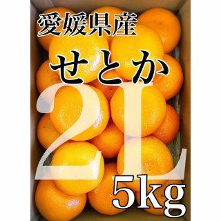 柑橘の大トロ！！えひめ中央農協選果【せとか】2L 5kg(フルーツ)