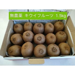 無農薬  キウイフルーツ  1.5kg(フルーツ)