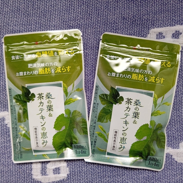 お試し価格！】 和漢の森 桑の葉茶カテキンの恵み 120粒入×2袋