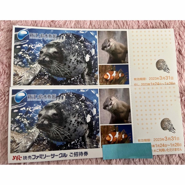 新江ノ島水族館 ペアチケット チケットの施設利用券(水族館)の商品写真