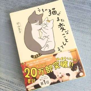 カドカワショテン(角川書店)の😹うちの猫がまた変なことしてる。(その他)