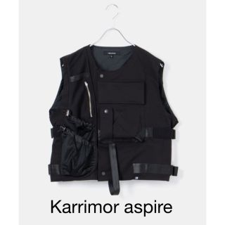 カリマー(karrimor)のkarrimor aspire タクティカルベスト DAIWA PIER39(ベスト)