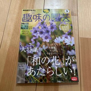 NHK 趣味の園芸 2023年 03月号(その他)