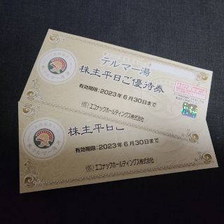 エコナック   テルマー湯  平日ご優待券2枚(その他)