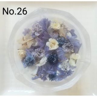 No.26ドライフラワー気まぐれ花材セット(ドライフラワー)