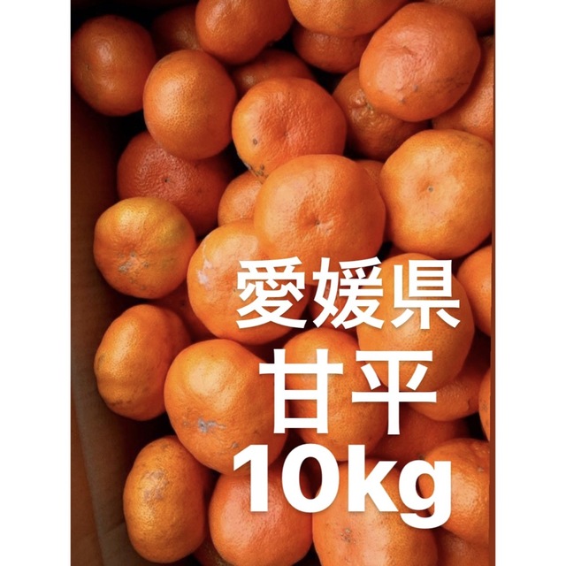 愛媛県産　甘平　柑橘　10kg