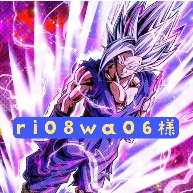 ri08wa06様専用 格安HOT