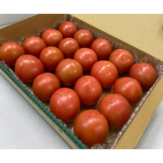 お買い得♪ 【ご家庭用】高知特産　フルーツトマト　約1kg(野菜)