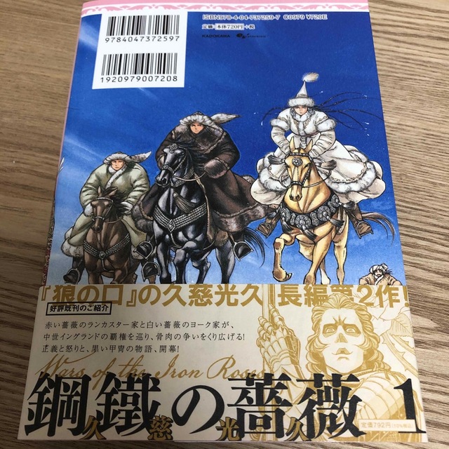 角川書店(カドカワショテン)の乙嫁語り １４ エンタメ/ホビーの漫画(その他)の商品写真