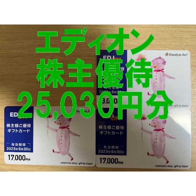 エディオン 株主優待 25,030円分 ギフトカード