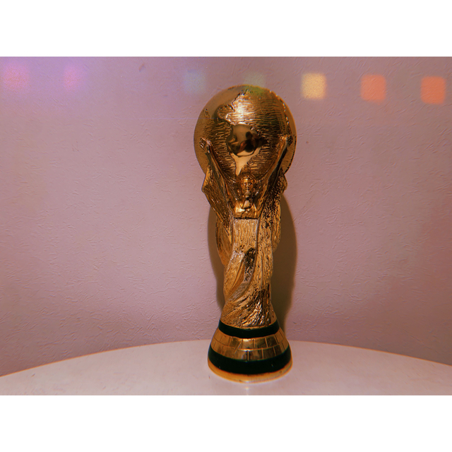 2010 FIFA WORLD CUP ワールドカップ 全選手サインボール