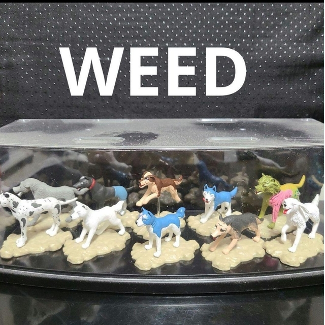 ウィード フィギュア コンプリート フィギュアコレクション WEED 銀河 ...