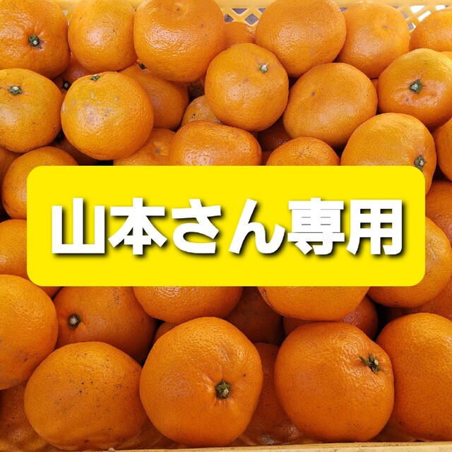 山本さん専用　訳ありミカン１０kg 食品/飲料/酒の食品(フルーツ)の商品写真