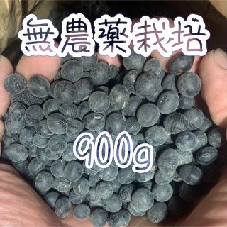 丹波黒豆【無農薬栽培】(米/穀物)