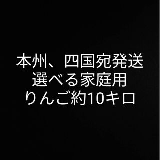 本州、四国宛配送限定　信州産　家庭用サンふじ　約10キロ(フルーツ)