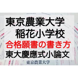 東京農業大学稲花小学校 過去問 願書 問題集 早稲田実業初等部  慶應義塾幼稚舎(語学/参考書)