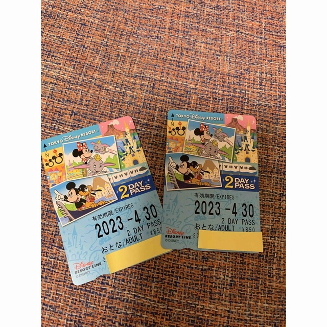 Disney(ディズニー)のディズニーリゾートライン　pass チケットの施設利用券(遊園地/テーマパーク)の商品写真